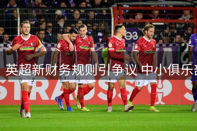 英超新财务规则引争议 中小俱乐部发展空间遭挤压